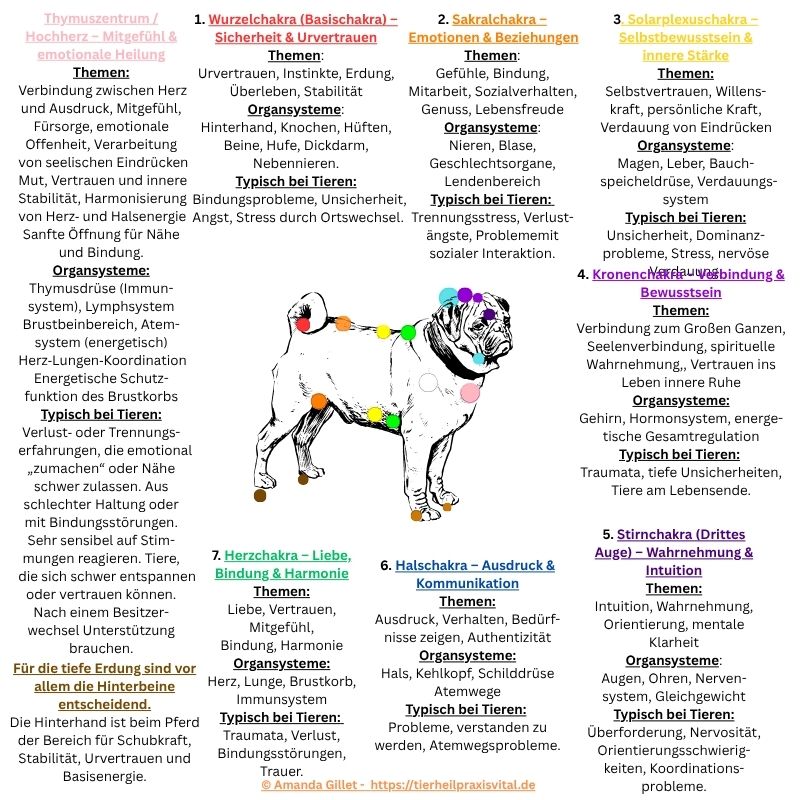Tierheilpraxis, Tierheilpraktikerin, Homöopathie, Phytotherapie, Naturheilpraxis, Naturheilverfahren